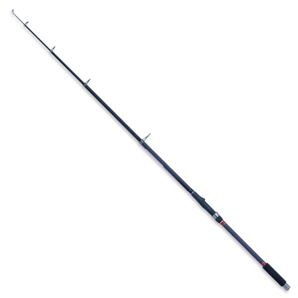wedka-robinson-carbonic-tele-bream-300-30-60g.jpg