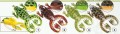 zaba-traper-natural-frog-kolor-4-6cm-6g-1szt.jpg