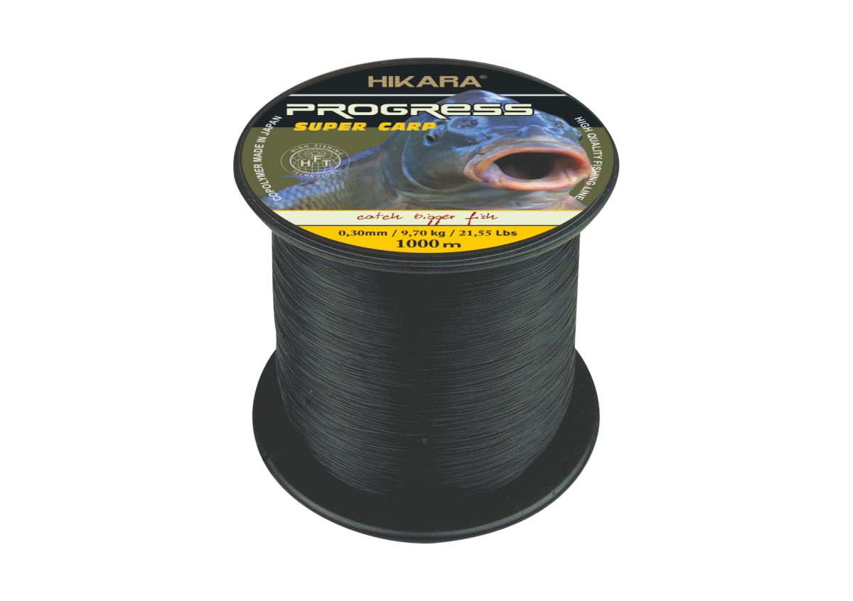 hikara_progress_super_carp_0_35_1000m.jpg
