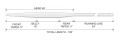 traper-concept-clear-wf7-fi-98492-clear.jpg