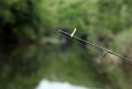 drennan-isotopes-super-specialist-2-5x15mm-wieczne-swietliki-2szt.jpg