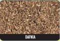Dodatek Traper Additive - Dafnia